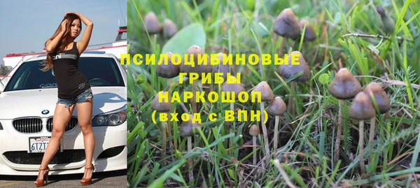 спиды Алзамай