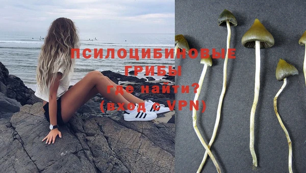 дмт Алексин