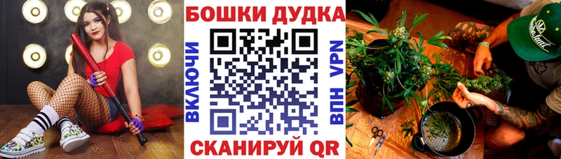 Канабис семена  дарнет шоп  Алушта 